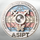 ASIPT